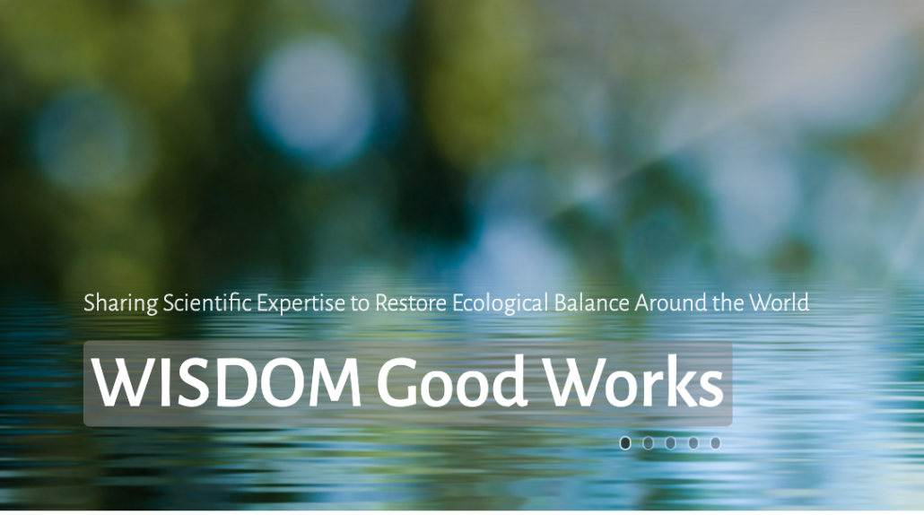 WISDOM Good Works